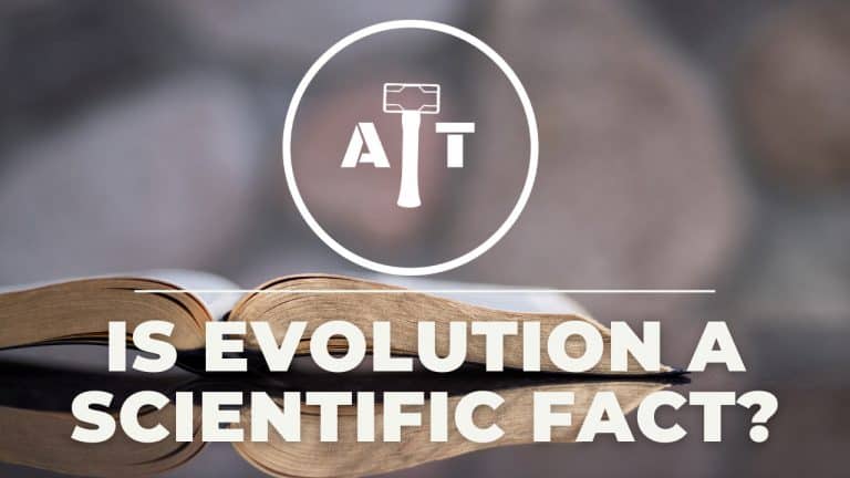 Is Evolution A Scientific Fact?